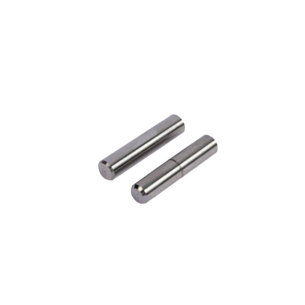 Ruger LC9 Frame Insert Pins Front and Rear